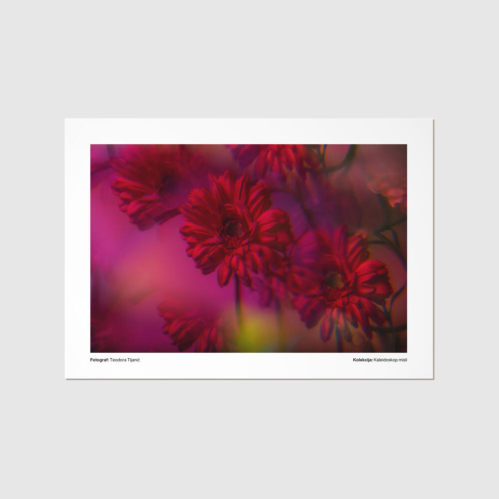 <p>Tri mlade umjetnice, Ivona Medenica, Teodora Tijanić i Manuela Fetahović, pokrenule prvu crnogorsku platformu za kreativce - spoj vizuelne umjetnosti, digitalnih inovacija i zajedništva</p>