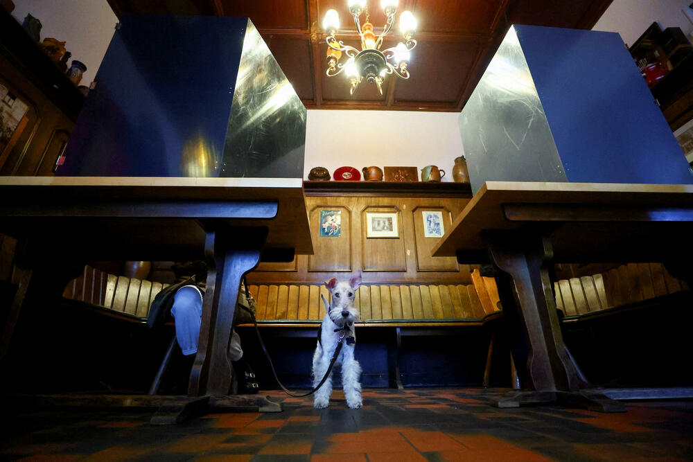 <p>Izlaznost na izborima bila 84 odsto. U Bundestag ulaze još Zeleni i Ljevica. BSW je na granici 4,9 ili 5 odsto. Liberali ispod cenzusa</p>