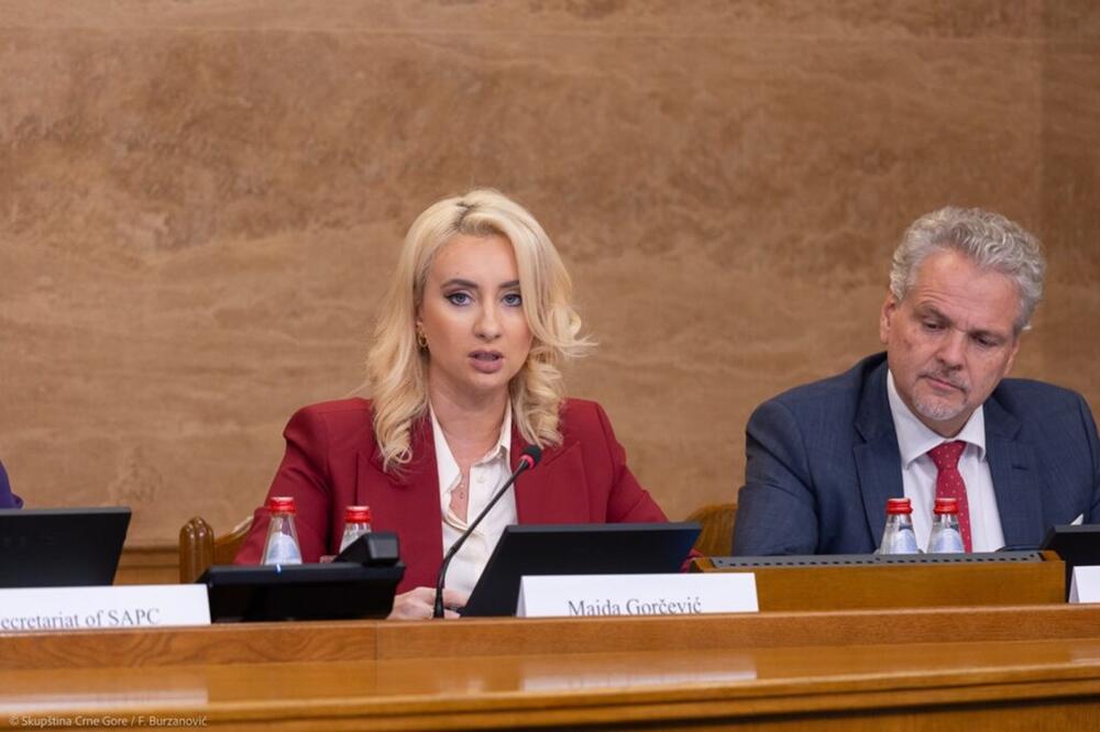 “Nadamo se dobrom izvještaju za Brisel sredinom marta”: Gorčević i Satler, Foto: MEP