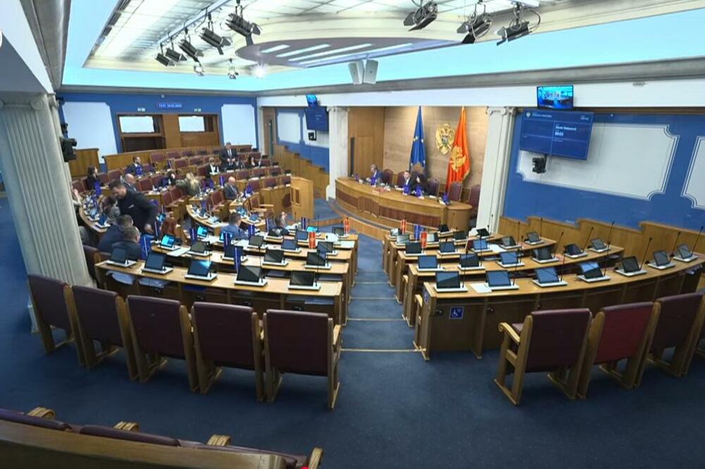 Sa današnje sjednice parlamenta, Foto: Printscreen/Youtube