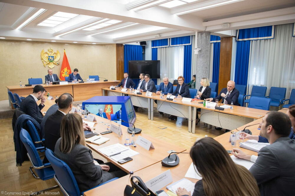 Foto: Skupstina.me/M. Matković