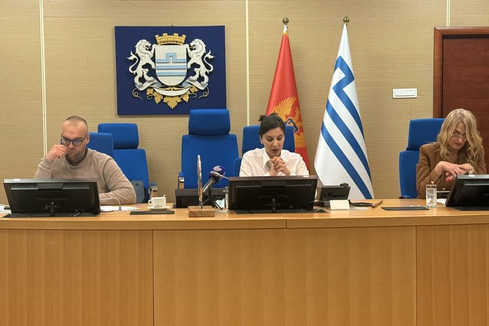 Sa sjednice Odbora za izbor i imenovanja Skupstine Glavnog grada, Foto: Nikola Saveljić