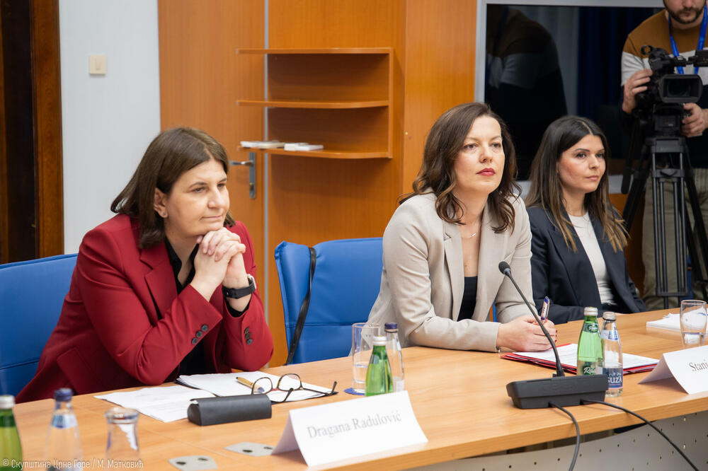 Predložene ambasadorke: Radulović, Anđić, Kalezić, Foto: Skupština Crne Gore