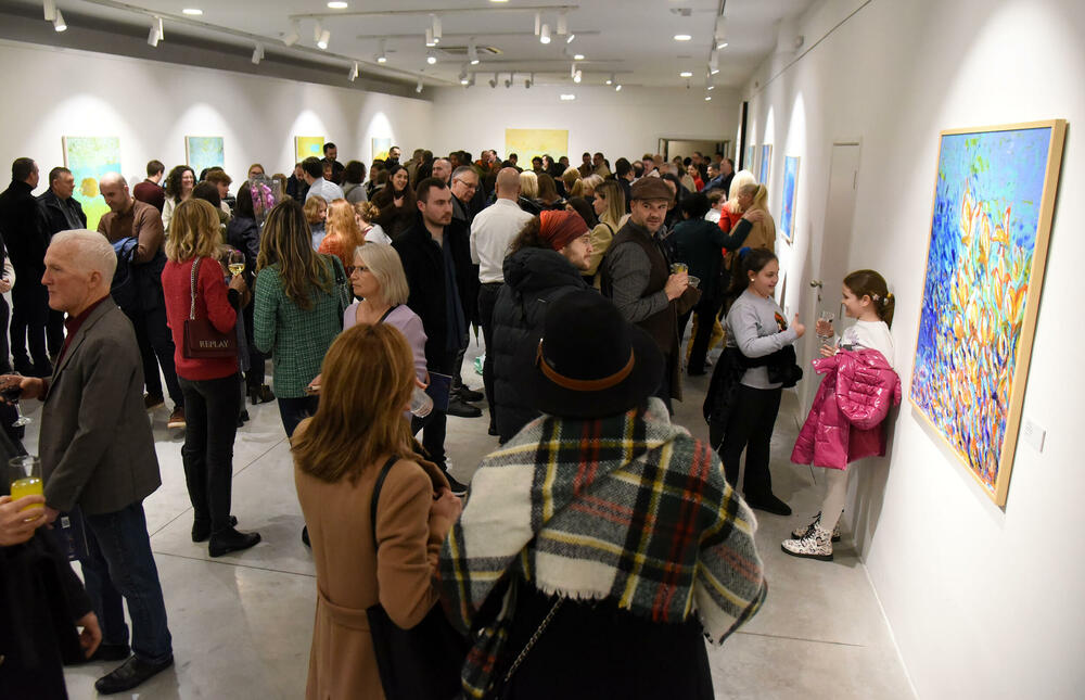 <p>Otvorena izložba Mirjane Marsenić Vujović u podgoričkoj Modernoj galeriji<br />  </p>