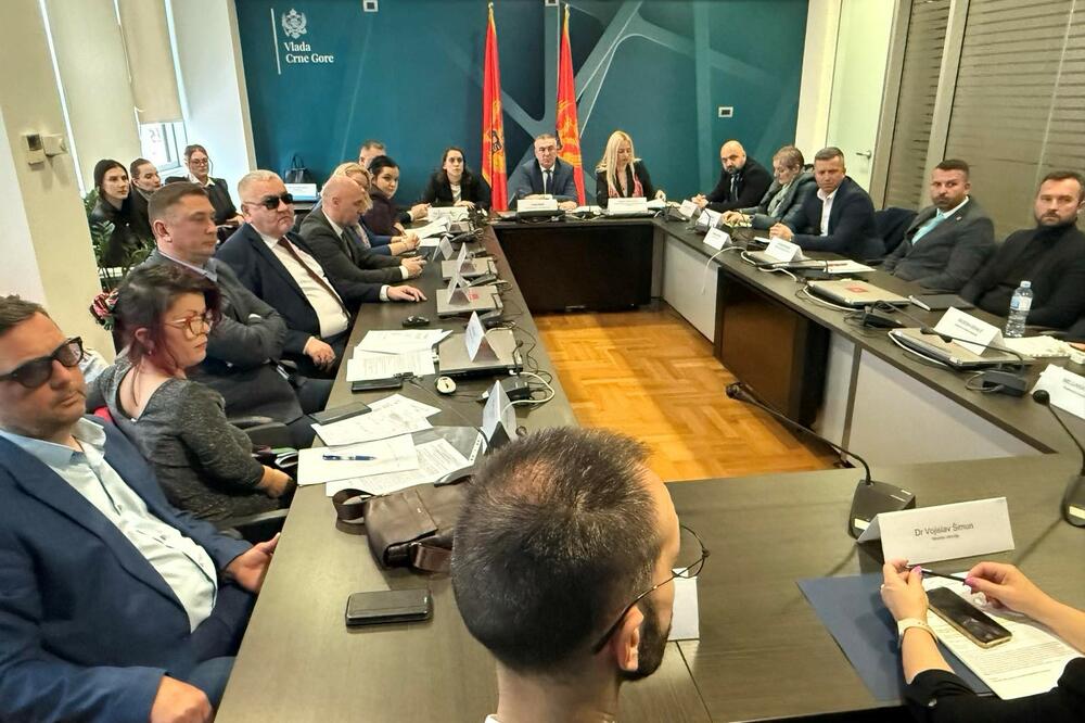 Detalj sa sjednice, Foto: Ministarstvo ljudskih i manjinskih prava