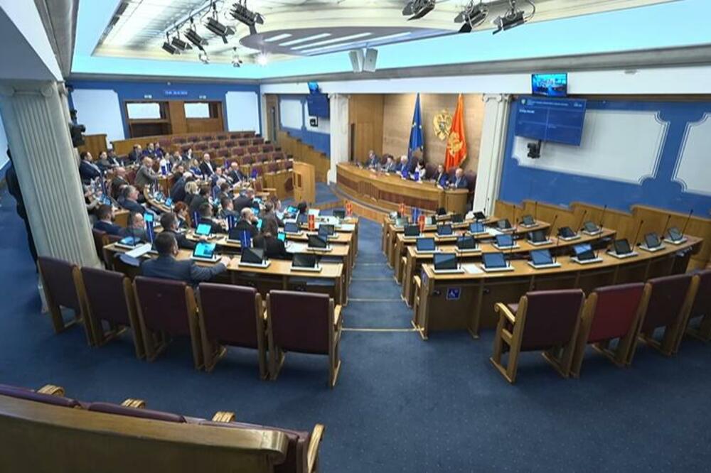 Detalj sa sjednice, Foto: Printscreen YouTube