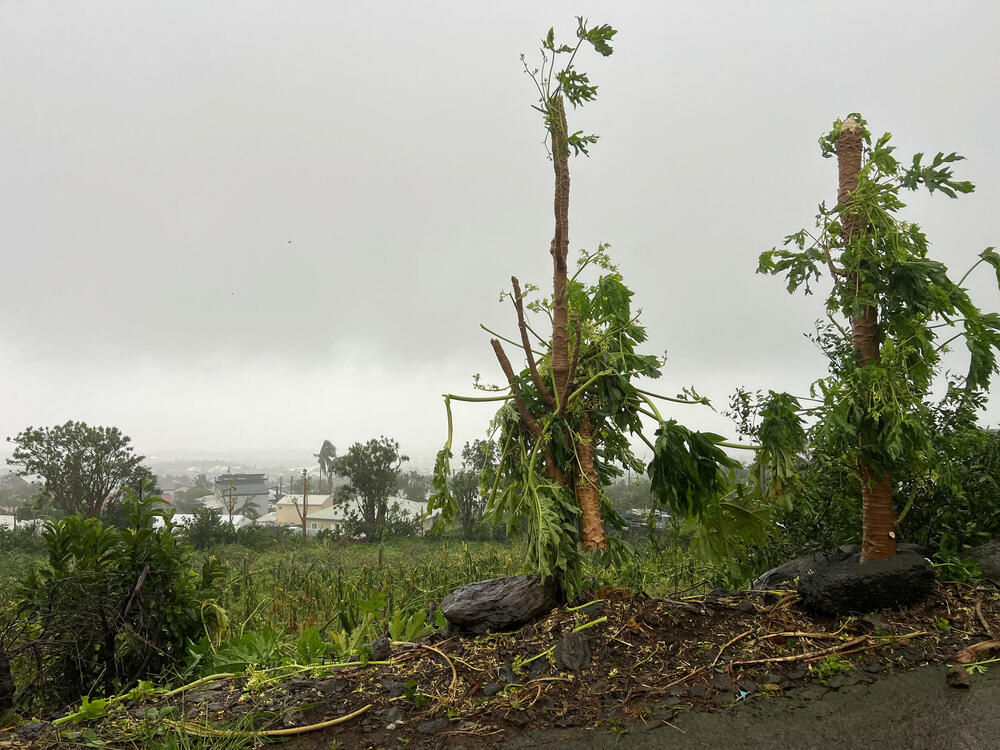 <p>"Garans je smanjen na jaku tropsku oluju, a crvena uzbuna je ukinuta", navela je lokalna prefektura na društvenoj mreži Iks, savjetujući stanovništvu da ostane oprezno i ograniči putovanja</p>