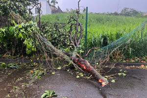Ciklon pogodio francusko ostrvo Reunion: Poginule najmanje četiri...