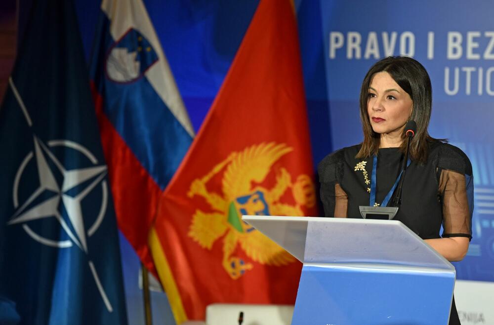 <p>Međunarodna konferencija "Pravo i bezbjednost u digitalnom svijetu - Uticaj vještačke inteligencije", održana je u Kolašinu, u organizaciji Pravnog fakulteta i Asocijacije menadžera bezbjednosti Crne Gore, a pod pokroviteljstvom Ambasade Slovenije u Crnoj Gori, uz podršku Ministarstva javne uprave i Ministarstva pravde</p>