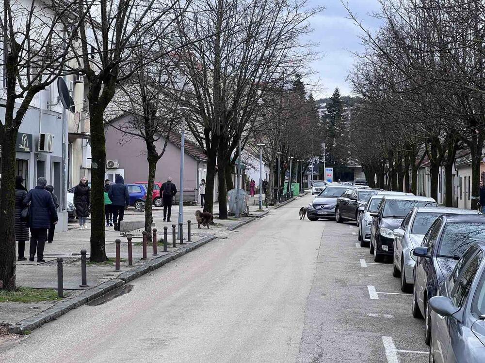 Manastirska ulica priča legende