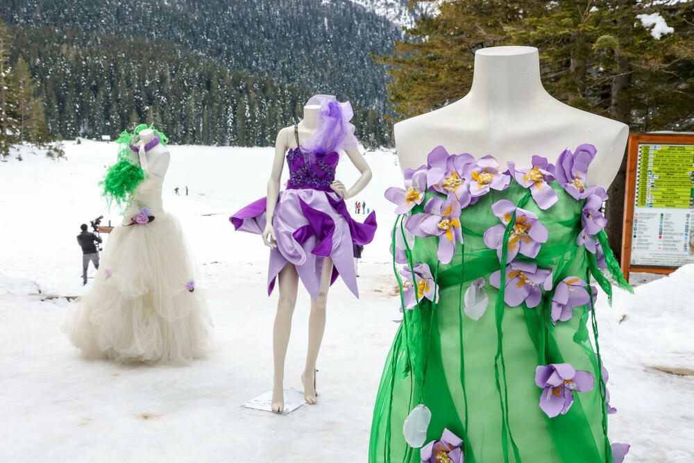 <p>Autorka izložbe “Krojevi prirode” mr Čeda Ivanović, za “Vijesti” priča o modnim kreacijama koje su dizajnirali učenici SSŠ “Spasoje Raspopović” inspirisani biljnim i životinjskim vrstama iz Crne Gore</p>