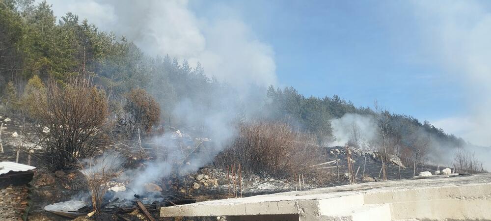 <p>Žabljački vatrogaci u nedjelju očekuju pomoć iz vazduha, ukoliko tokom noći ne uspiju da lokalizuju požar</p>