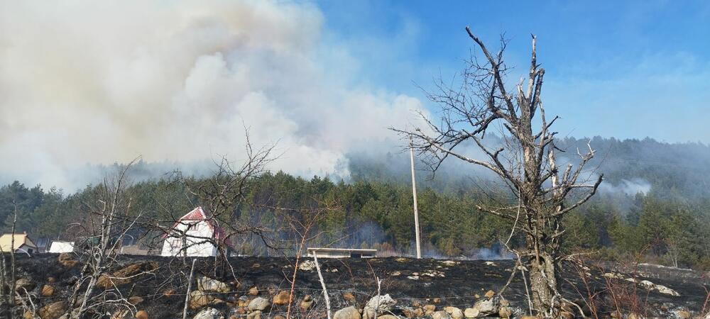 <p>Žabljački vatrogaci u nedjelju očekuju pomoć iz vazduha, ukoliko tokom noći ne uspiju da lokalizuju požar</p>