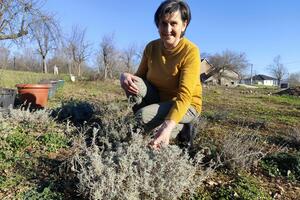 Strance mami miris Slavičinog čaja