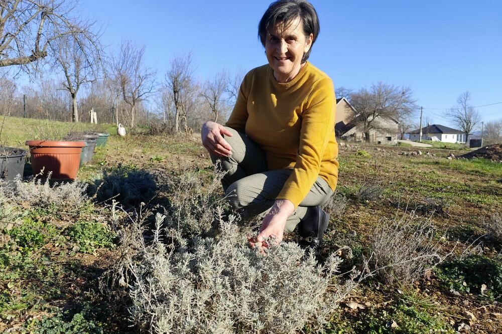 Omanula sam sa smiljem: Slavica Tadić, Foto: Svetlana Mandić