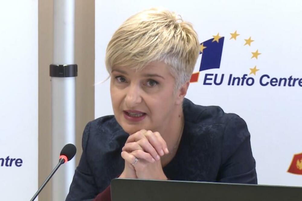 Pejović, Foto: Screenshot/Youtube/ Institut za medije Crne Gore