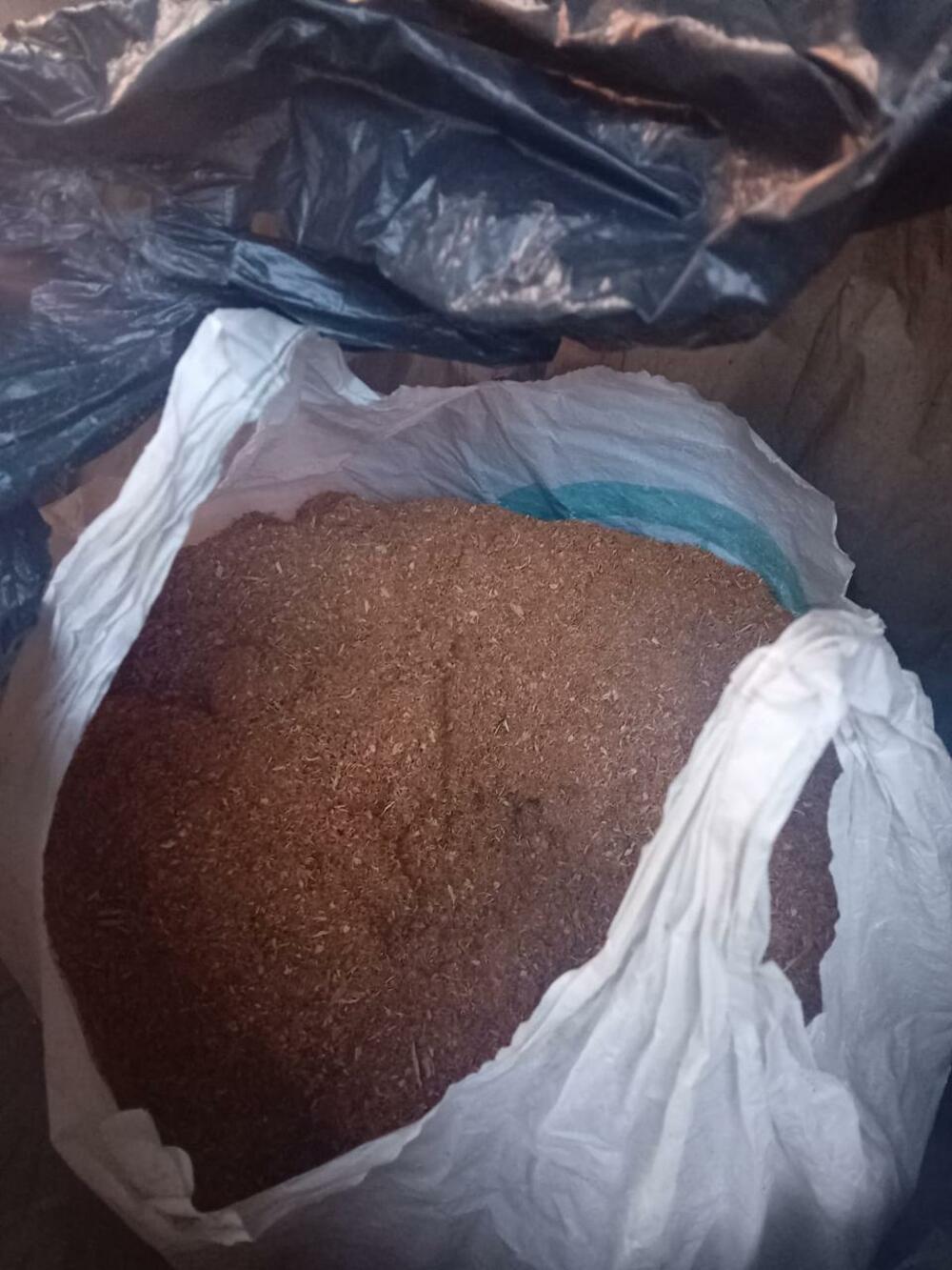 zapljena dračenovac