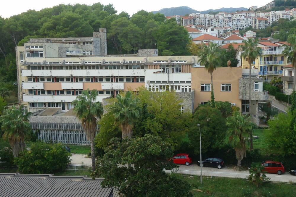 Dječje odjeljenje Instituta, Foto: NVO Ekokul Media