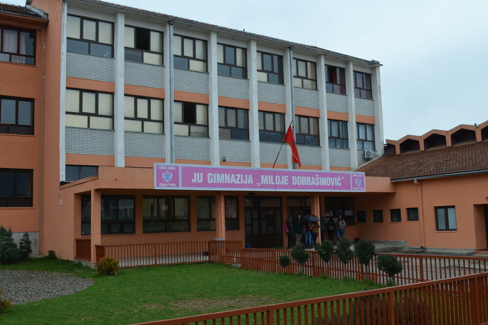 Gimnazija "Miloje Dobrašinović"