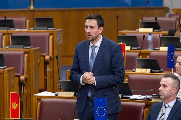 Smailović: Izvještaj EK još jednom potvrdio da je Crna Gora...