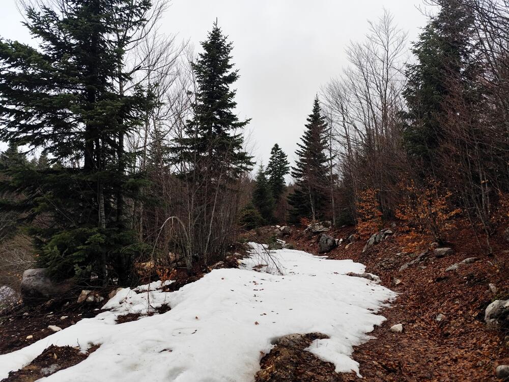 <p>"Tek smo krajem januara saznali za postojanje munike na terenu na kojem smo dobili koncesiju", kazao je  jedan od vlasnika firme "Novi boksiti", Ivan Ivanović</p>
