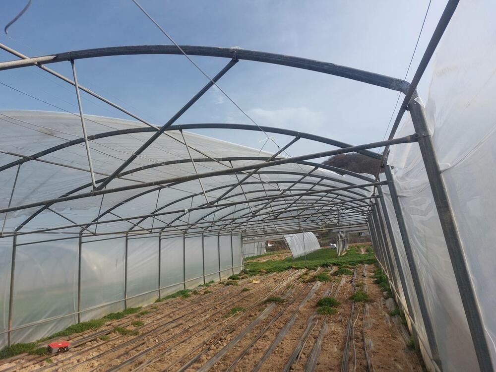 <p>Vjetar koji od sinoć duva pričinio materijalnu štetu</p>