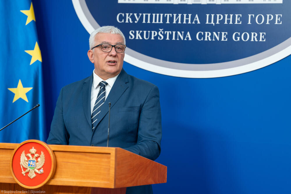 Mandić: Neka ovaj 28. jul bude dan kada ćemo biti ujedinjeni u...