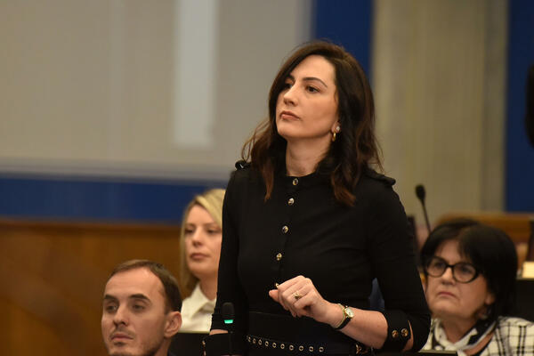 Pejović: Uvođenje otvorenih lista odugovlače velike partije