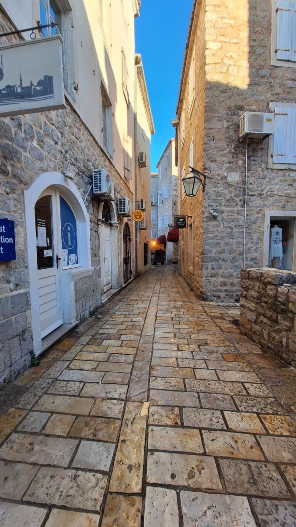 <p>"Ove aktivnosti će se realizovati dva puta sedmično bez određenog termina, dok će tokom turističke sezone raspored čišćenja biti precizno definisan"</p>