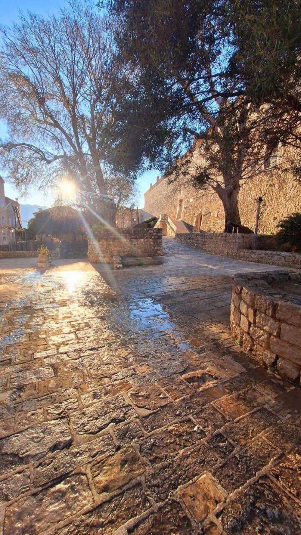 <p>"Ove aktivnosti će se realizovati dva puta sedmično bez određenog termina, dok će tokom turističke sezone raspored čišćenja biti precizno definisan"</p>