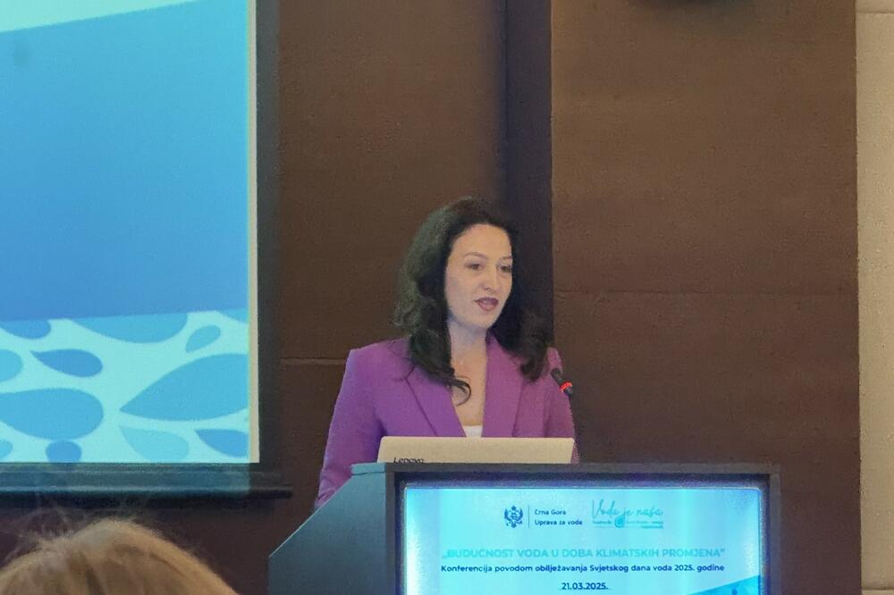 Bajović, Foto: Nikola Saveljić