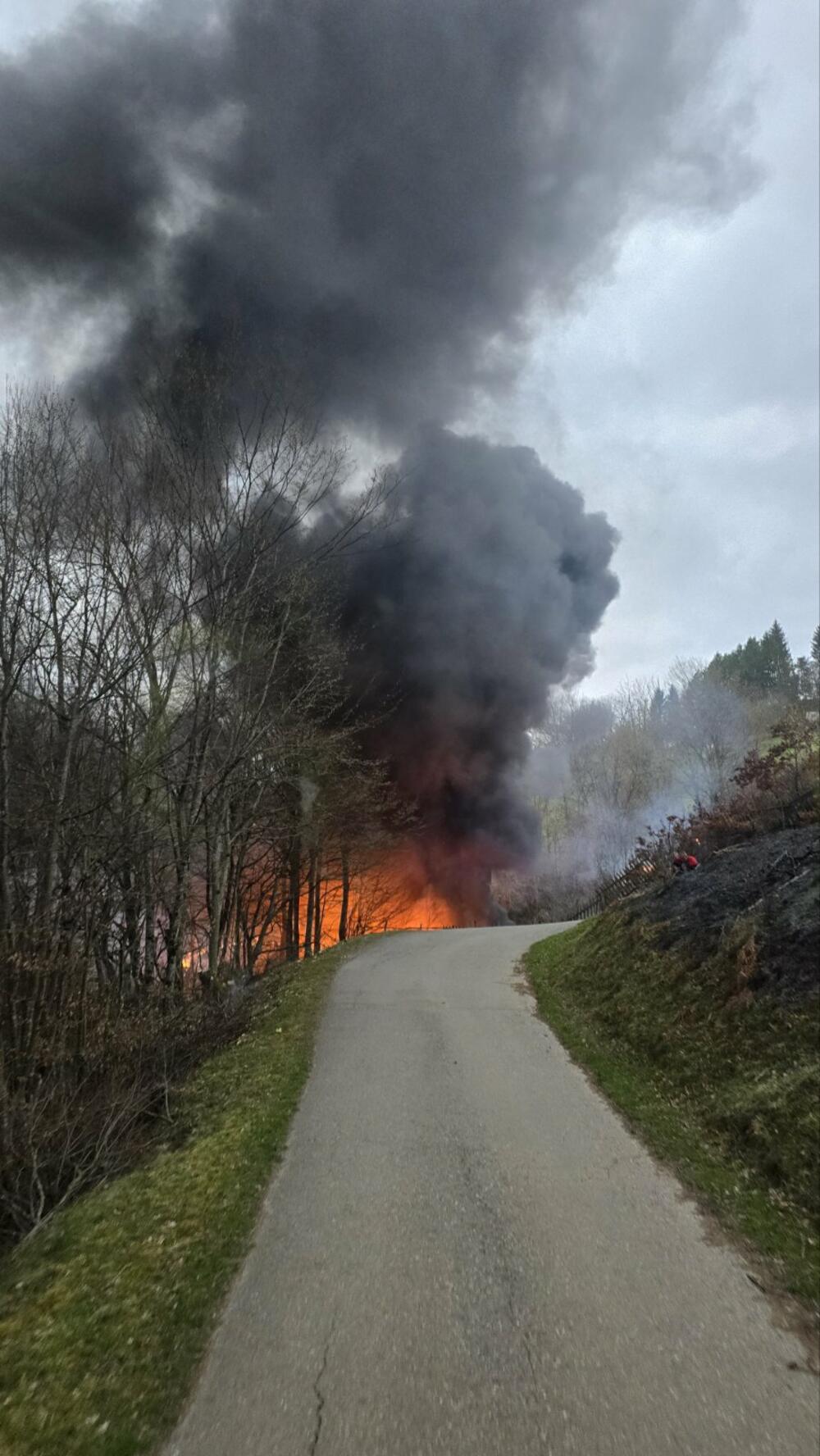 <p>Pored uništenih djelova šuma, bilo je ugroženo više objekata</p>
