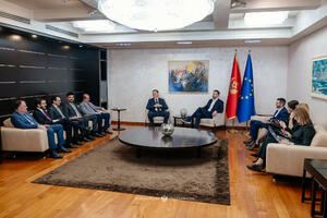 Spajić: Kad investitori pokažu interesovanje za našu zemlju,...