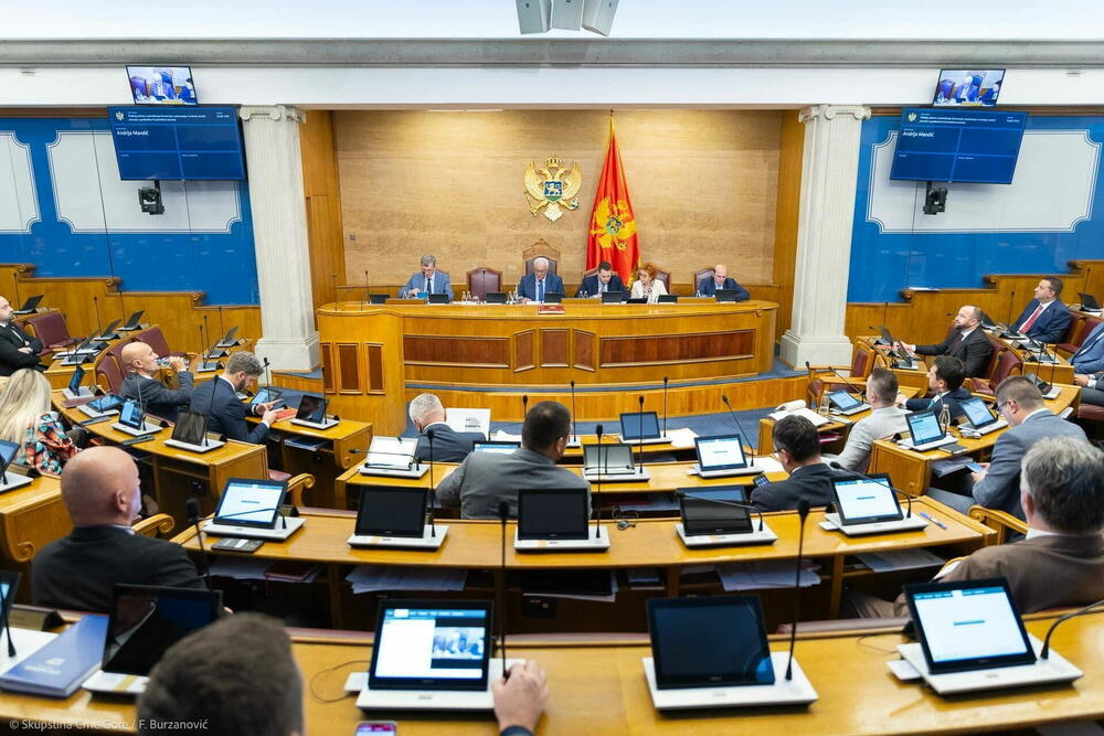 ZN izrazili zaskrbljenost zaradi sprememb zakona o javnih zborovanjih