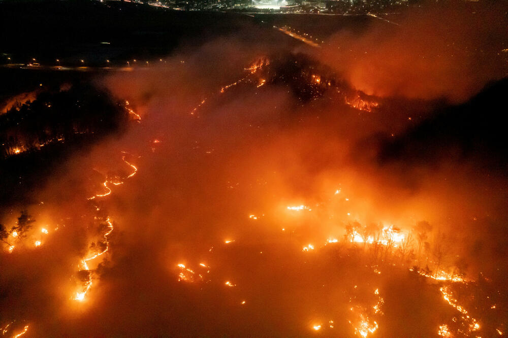 Pogled na šumsko područje u blizini grada Andonga, Foto: Reuters