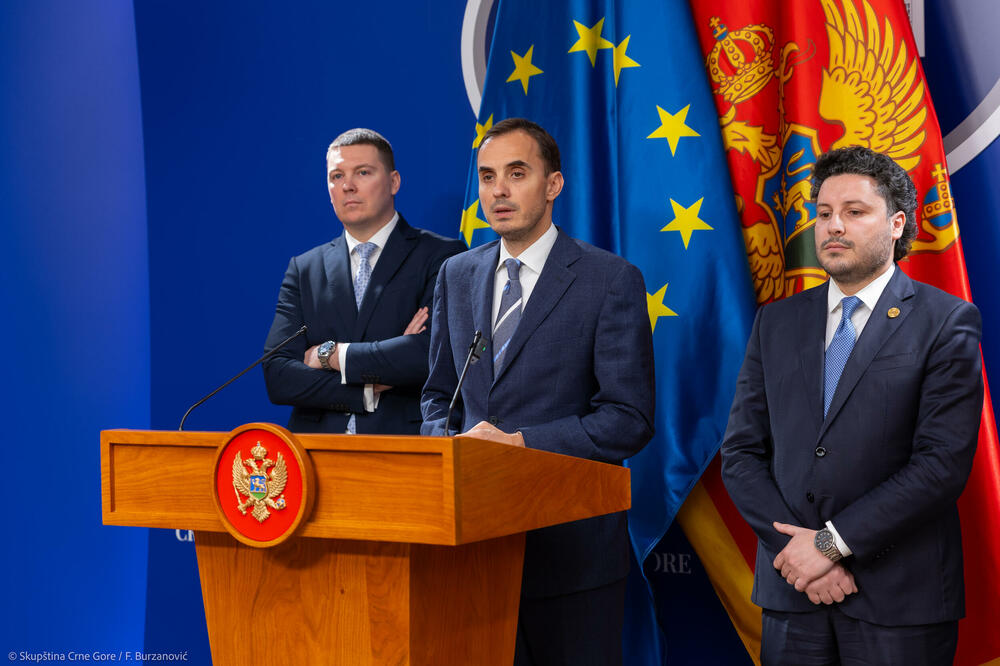 Konatar se obraća na konferenciji, Foto: Skupština Crne Gore