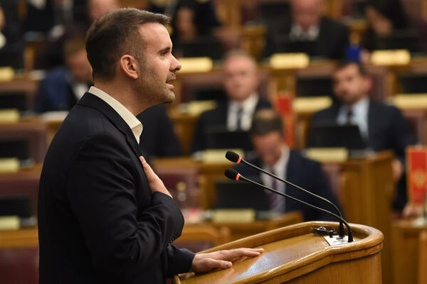 Neznanje ili korupcija, pitanje je opet...