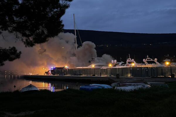 Još ponešto o požaru u Portonovom od 27. marta