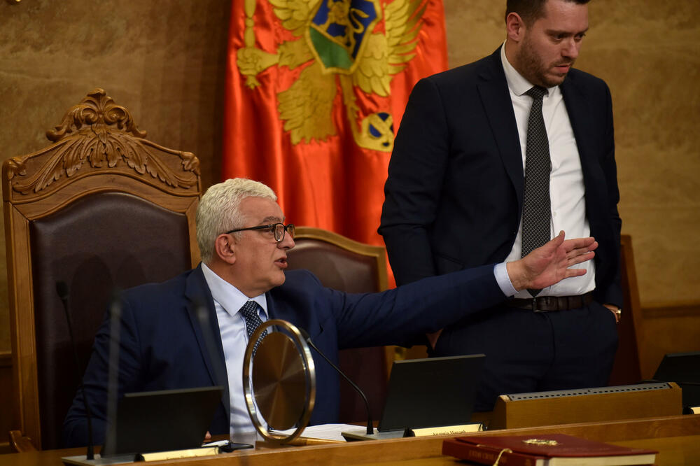 Mandić i Stanišić, Foto: Boris Pejović