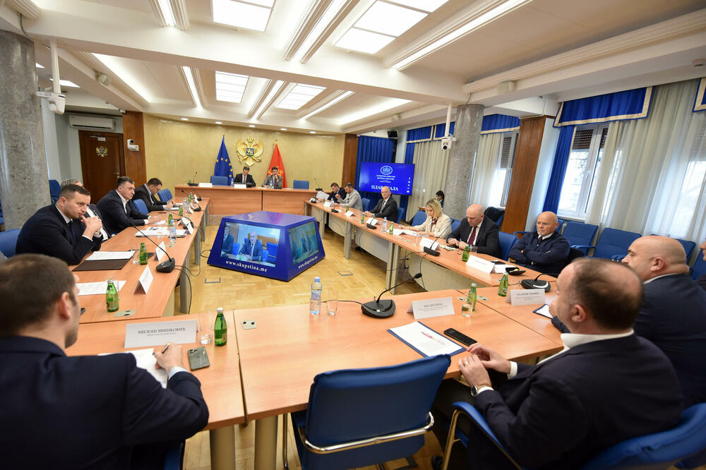 Sjednica Odbora, Foto: Boris Pejović