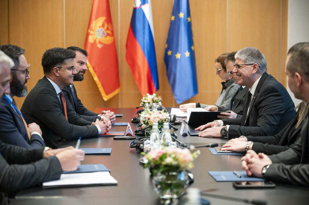 Šaranović Slovenija