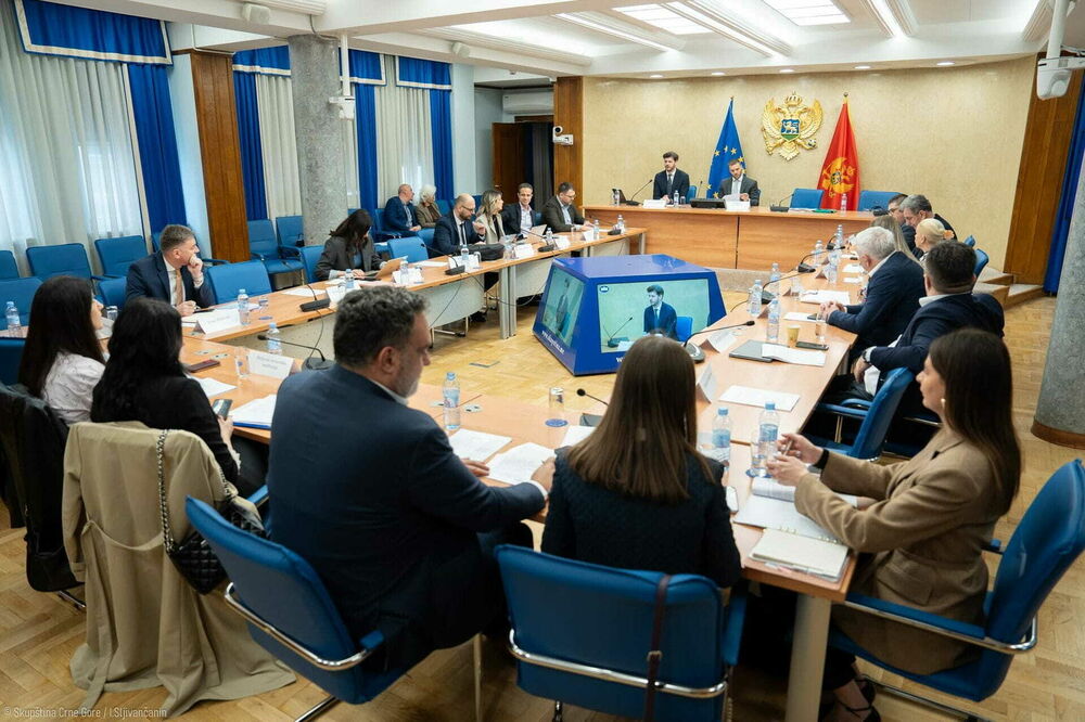 Rade nakon tromjesečne blokade: Odbor za izbornu reformu, Foto: Skupstina