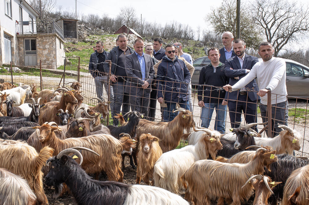 Detalj tokom posjete, Foto: PES