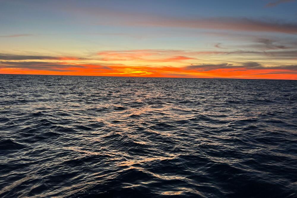 Ilustracija, Foto: Shutterstock