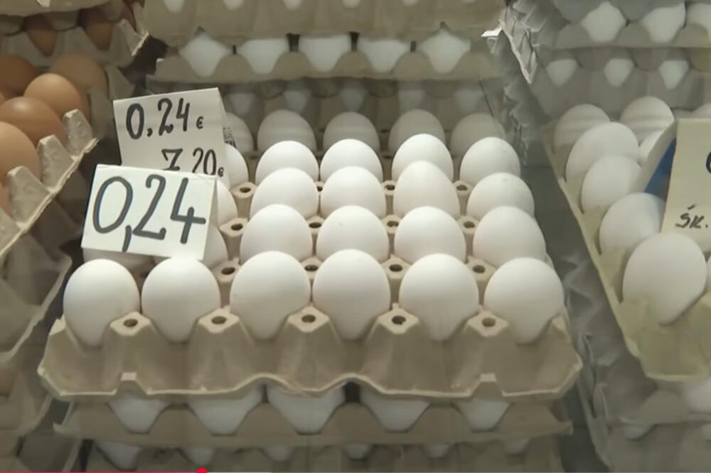 Foto: Screenshot/TV Vijesti