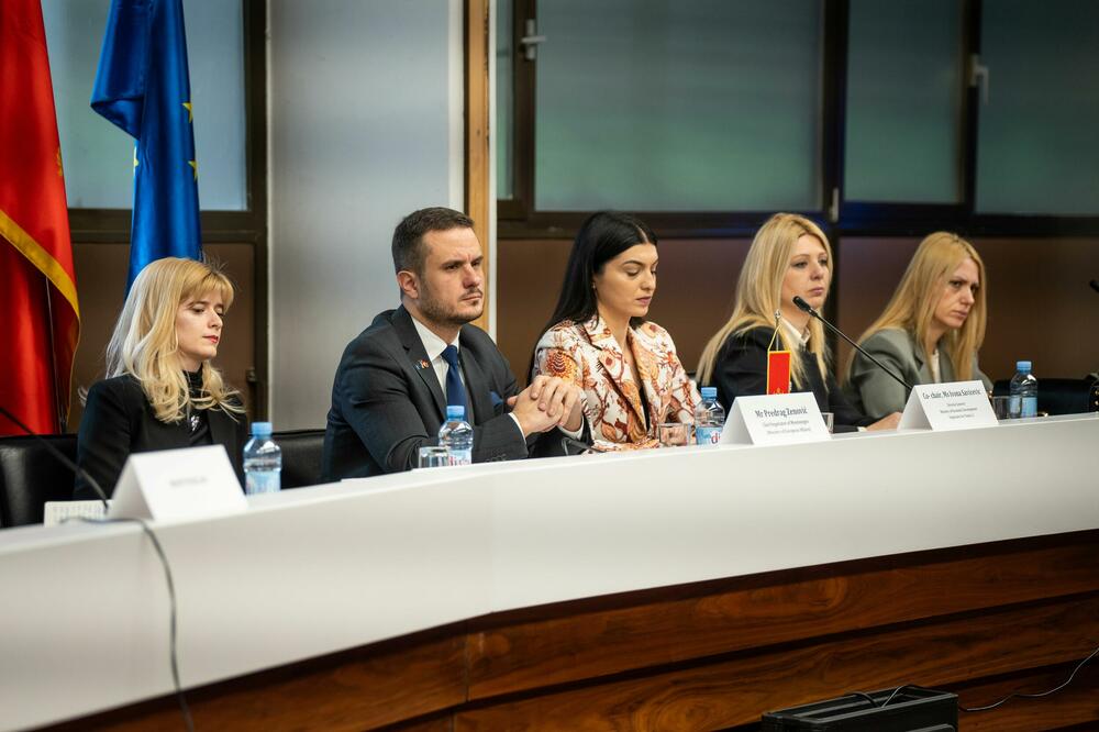 Predrag Zenović, Foto: Ministarstvo evropskih poslova