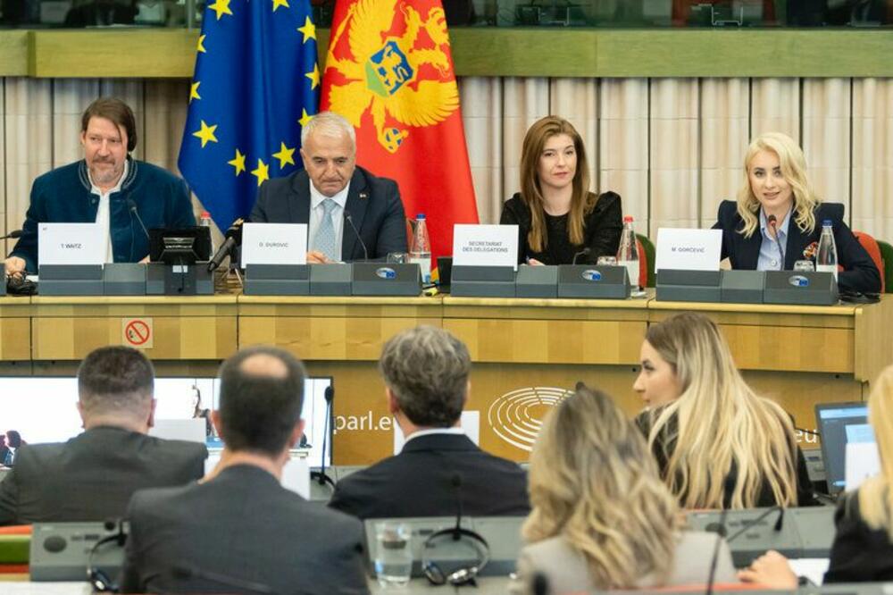 Sa jednog od prethodnih sastanaka, Foto: Ministarstvo evropskih poslova