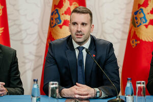 Spajić: Tuzi u Vladi imaju pouzdanog partnera i saveznika