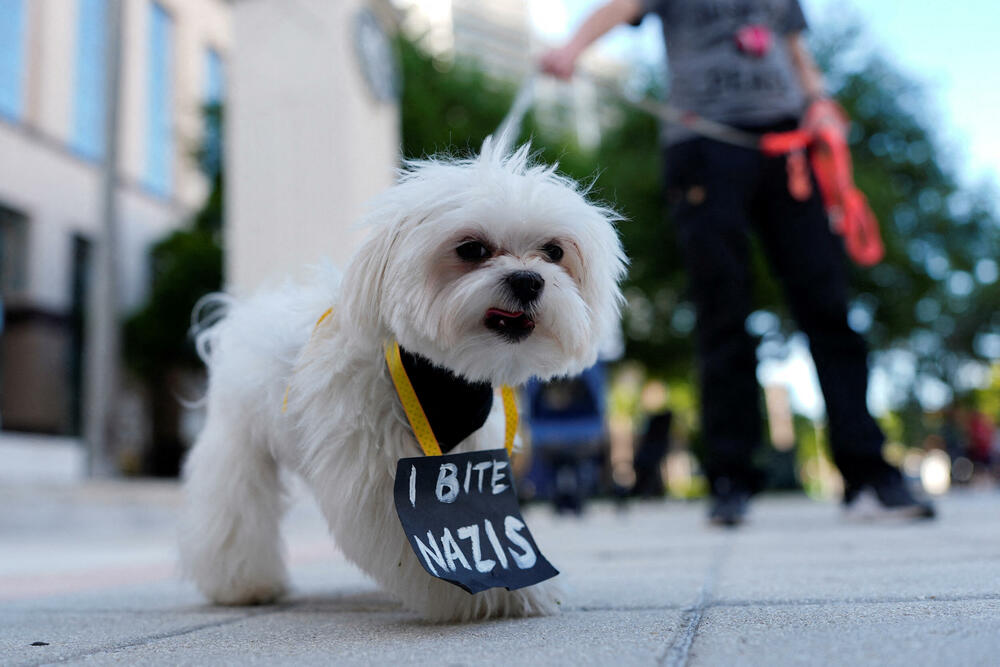 <p>Skupovi su bili mirni i nije bilo izvještaja o hapšenjima</p>