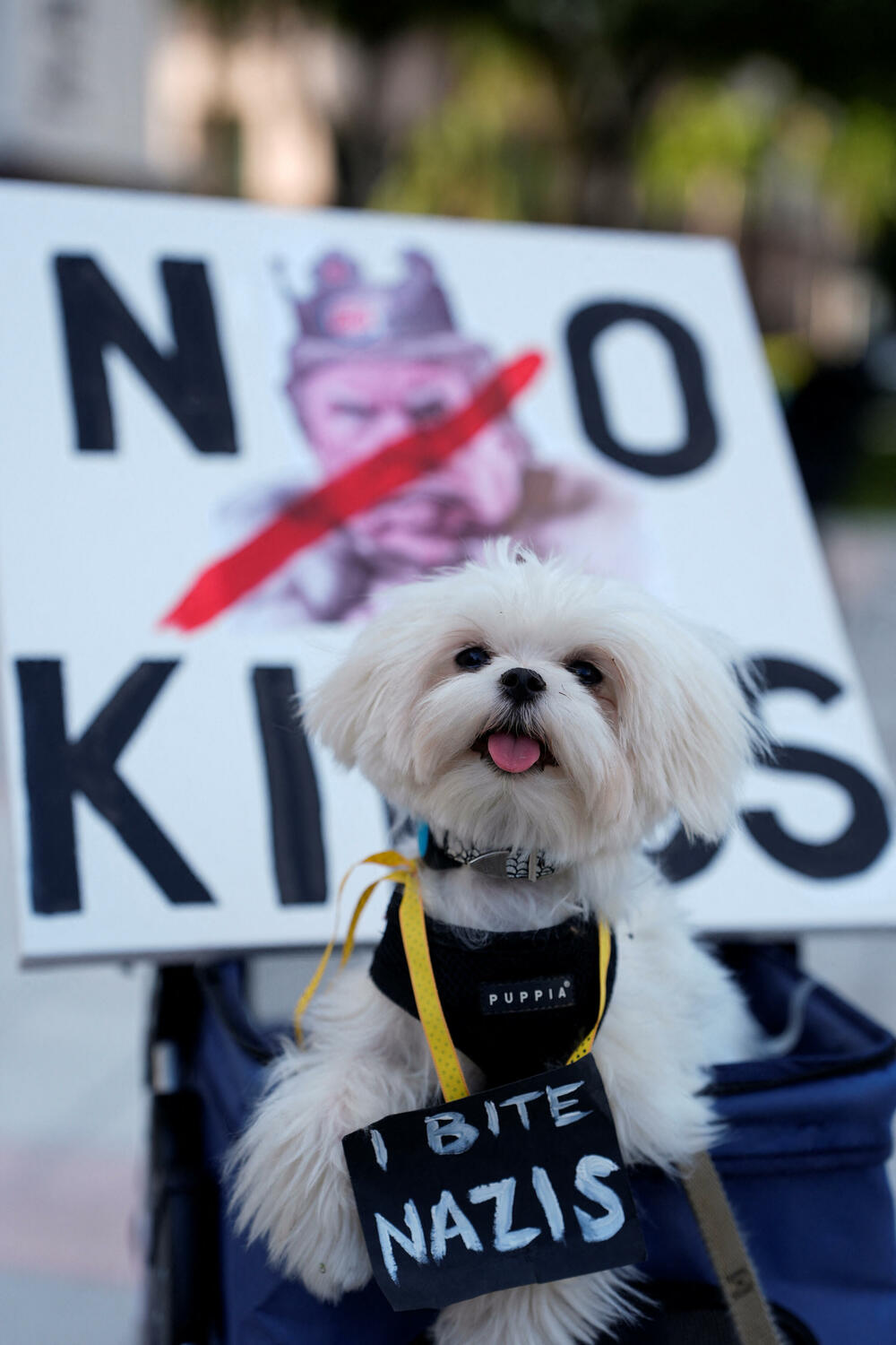 <p>Skupovi su bili mirni i nije bilo izvještaja o hapšenjima</p>